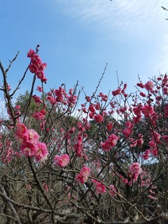 20190130_104851.jpg