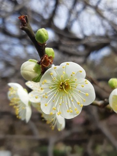 20190130_105546.jpg