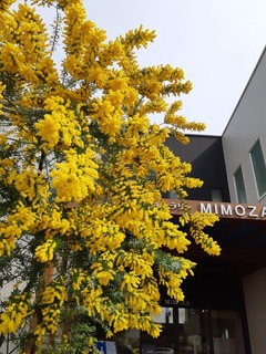 20190309_140624.jpg