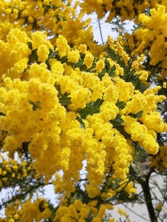 20190309_140645.jpg