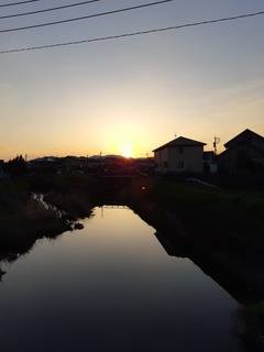 20190324_063259.jpg