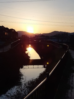 20190324_063545.jpg