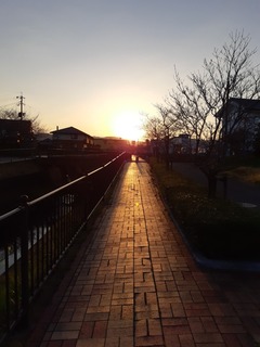 20190324_063839.jpg