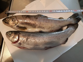 20190330_133358.jpg