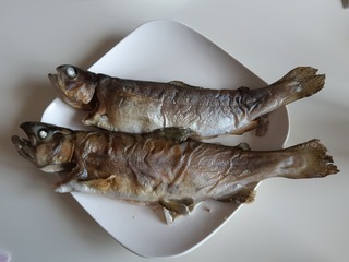 20190330_140741.jpg