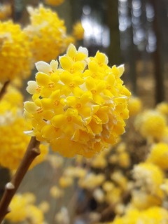 20190331_133754.jpg