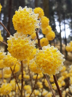 20190331_133812.jpg