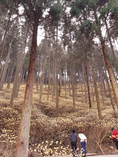 20190331_134942.jpg