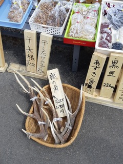 20190331_140554.jpg