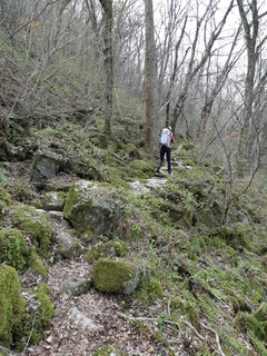 20190407_130633.jpg
