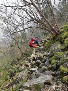 20190407_131533.jpg