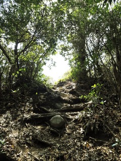 20190407_133509.jpg
