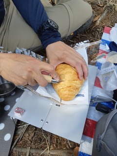 20190407_134749.jpg