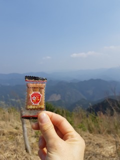 20190407_142408.jpg