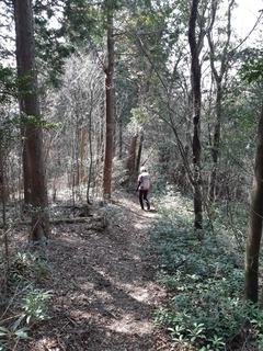 20190407_144417.jpg