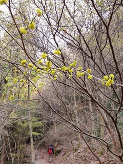 20190407_150214.jpg