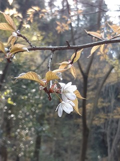 20190407_151946.jpg