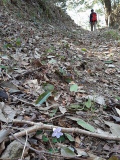 20190407_152334.jpg