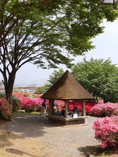 20190422_103254.jpg