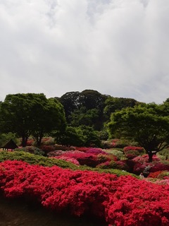 20190422_103954.jpg
