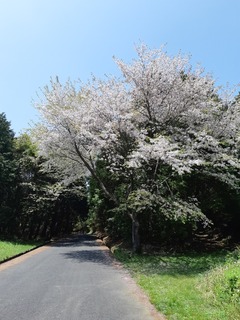 20190422_114155.jpg