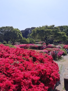 20190422_121639.jpg