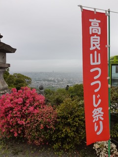 20190424_071503.jpg