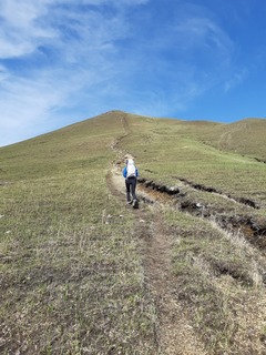 20190503_083605.jpg