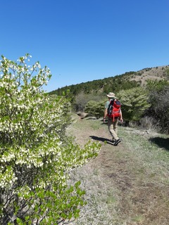 20190503_095650.jpg