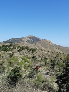 20190503_100636.jpg
