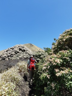 20190503_113729.jpg