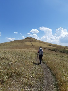 20190503_143440.jpg