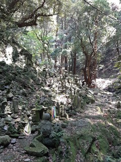 20190511_130710.jpg