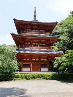 20190511_131705.jpg