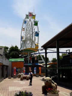 20190526_130959-d4d58.jpg