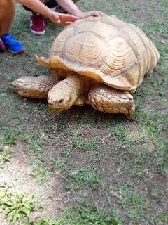 20190526_131412-8f5d7.jpg