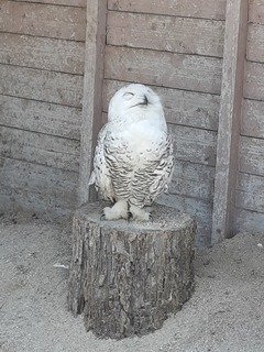 20190526_132641.jpg