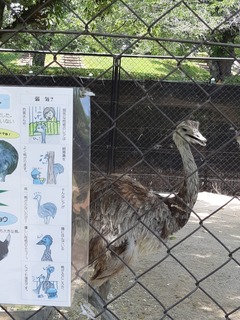 20190526_133050-3828b.jpg