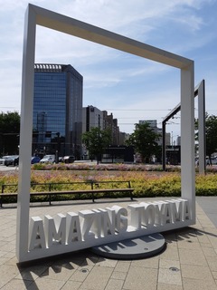 20190601_135739.jpg