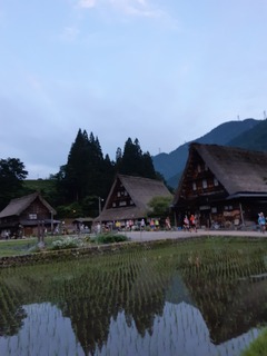 20190602_043533.jpg