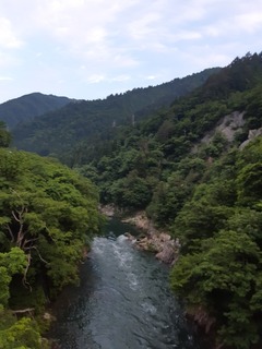 20190602_050117.jpg