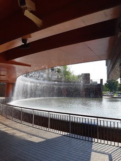 20190603_145848.jpg