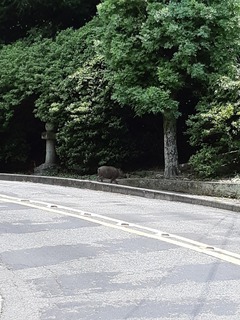 20190706_122117.jpg