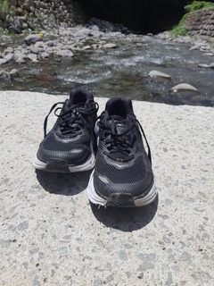 20190728_120758.jpg