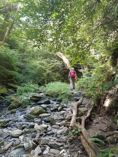 20190813_091816.jpg