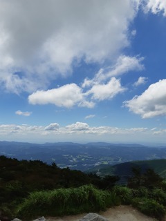 20190813_110952.jpg