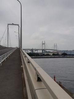 20190824_085907.jpg