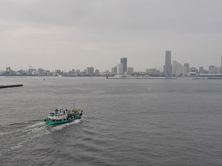 20190824_090011.jpg