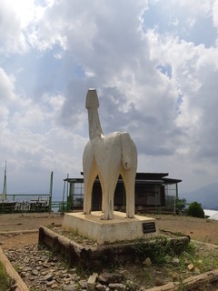 20190826_131404.jpg