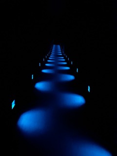20190827_102943.jpg